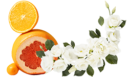 Home Fragrance